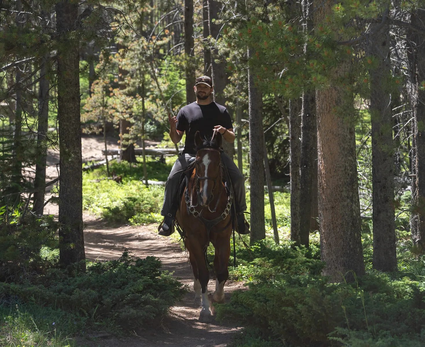 Nick riding a chestnut horse along a forested trail in dappled light.